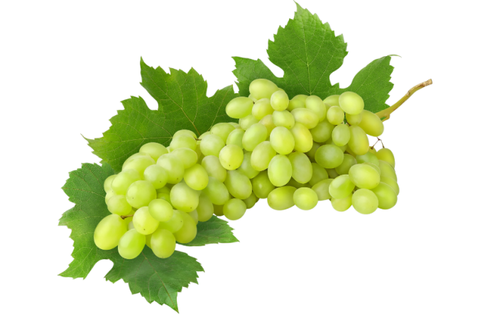 Grapes