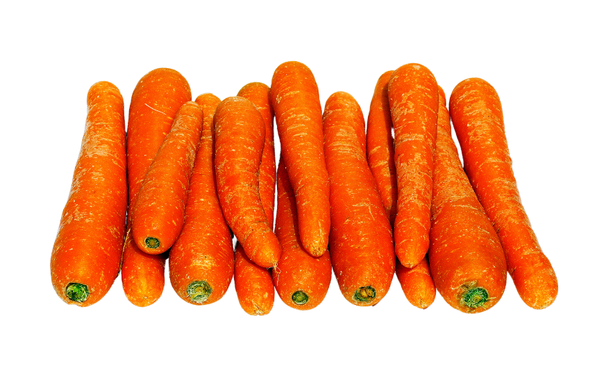 Carrot