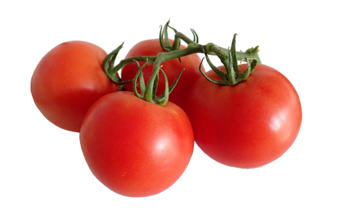 Tomato