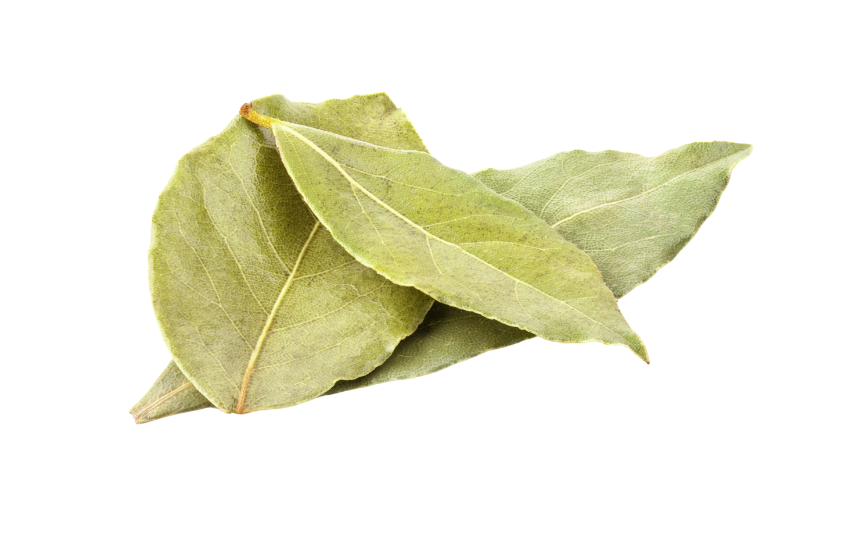 Bay leaves