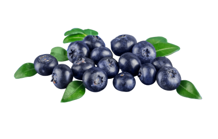 Blueberries