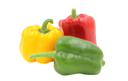 Bell pepper