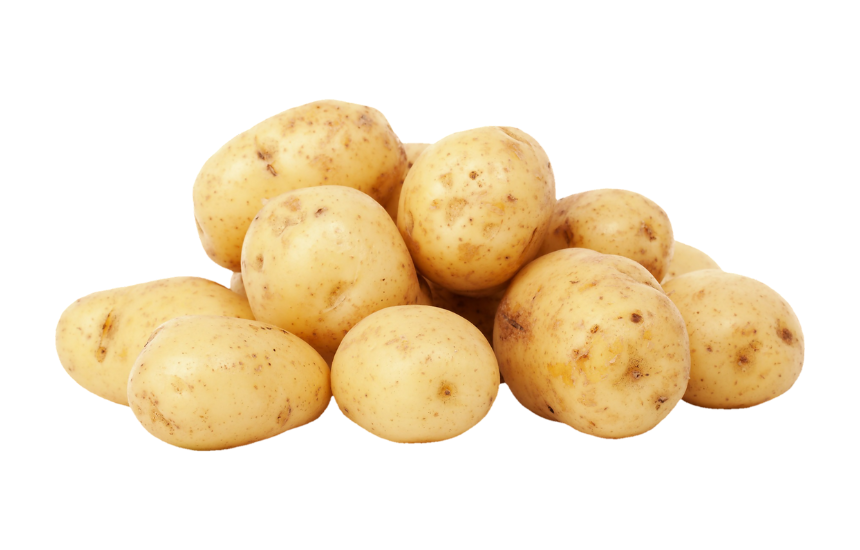 Potato