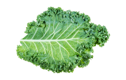 Kale