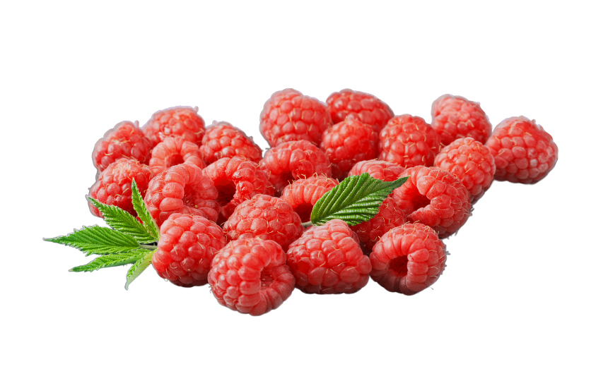 Raspberry