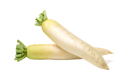 Radish