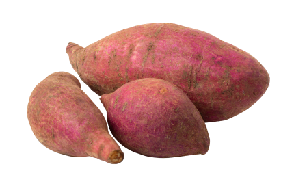 Sweet Potato